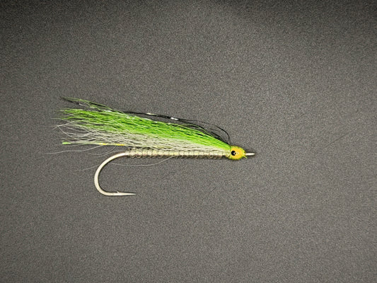 Glass Minnow